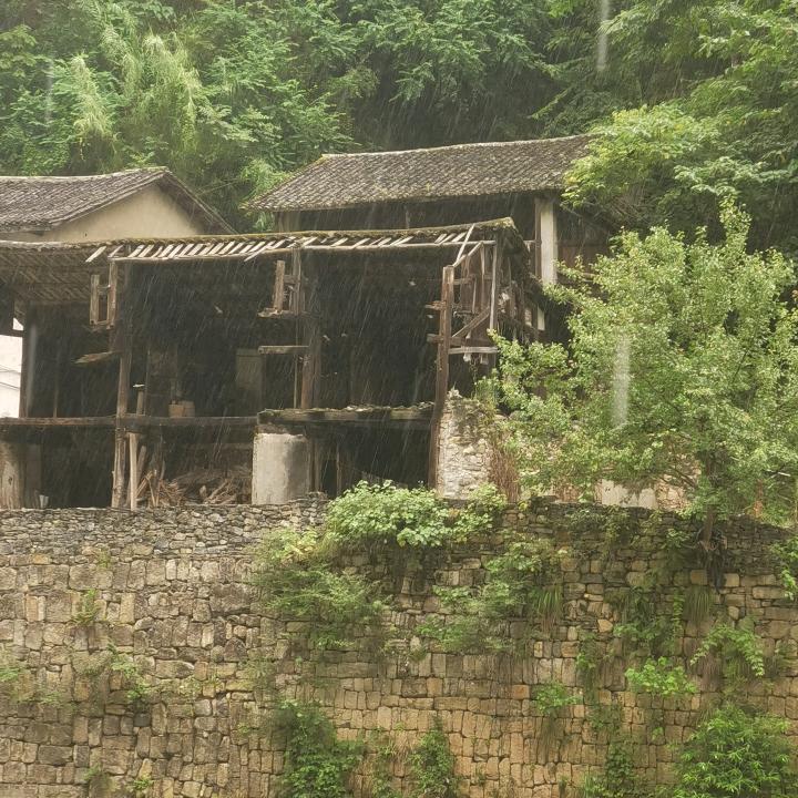 农村创业，水产养殖！