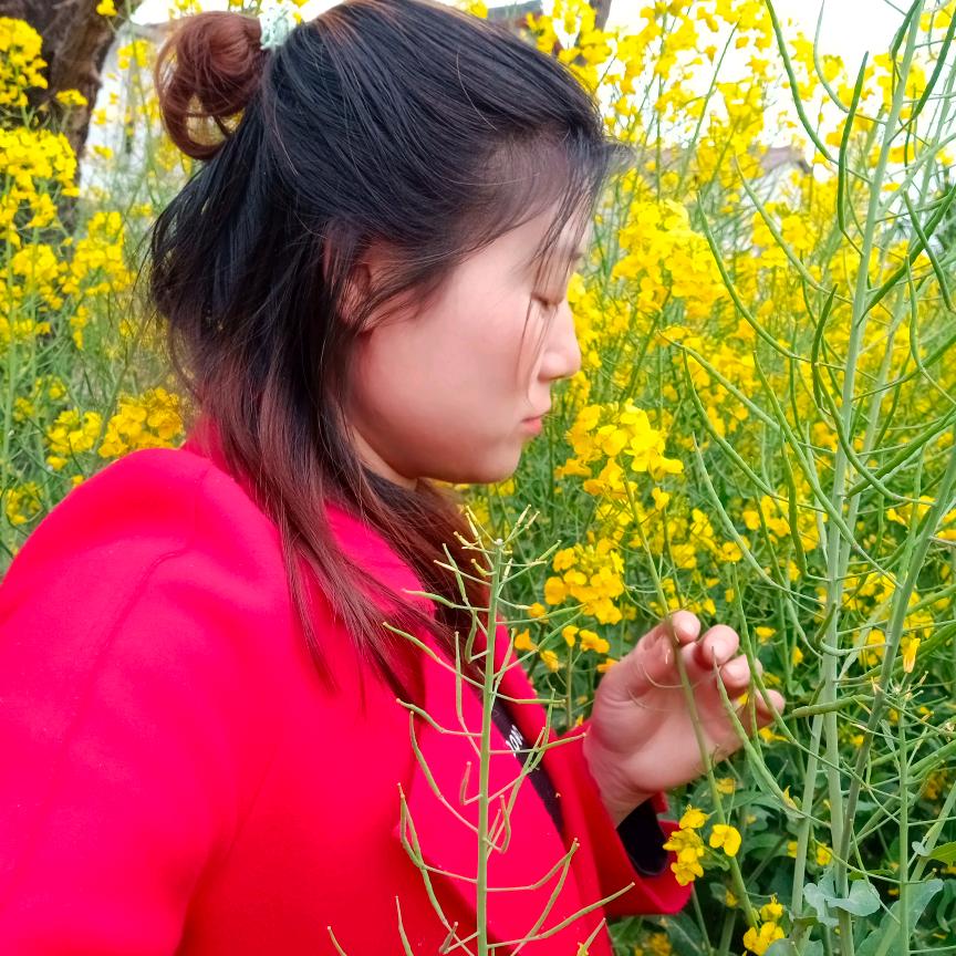 金银花