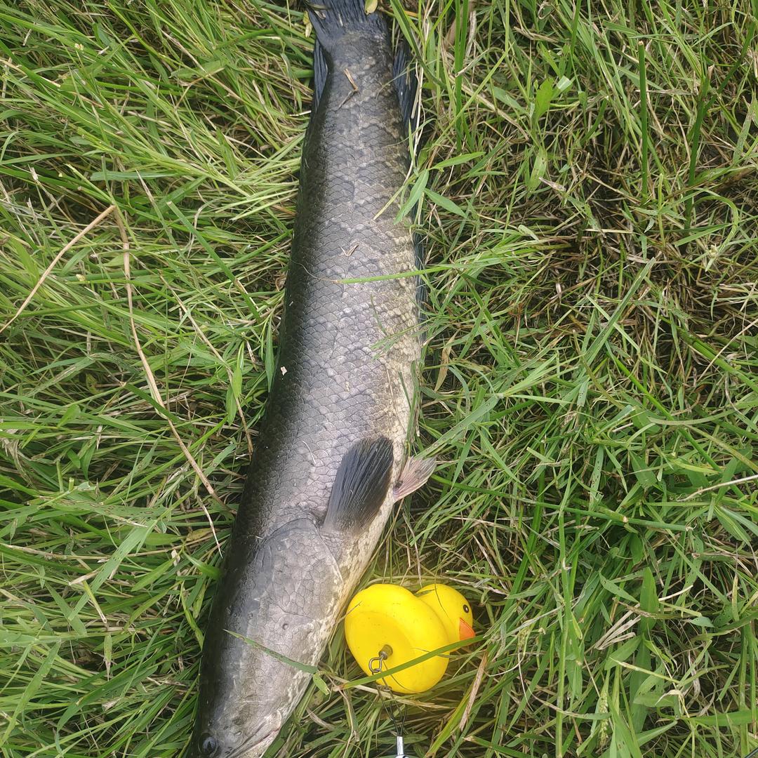 一切随缘50350700