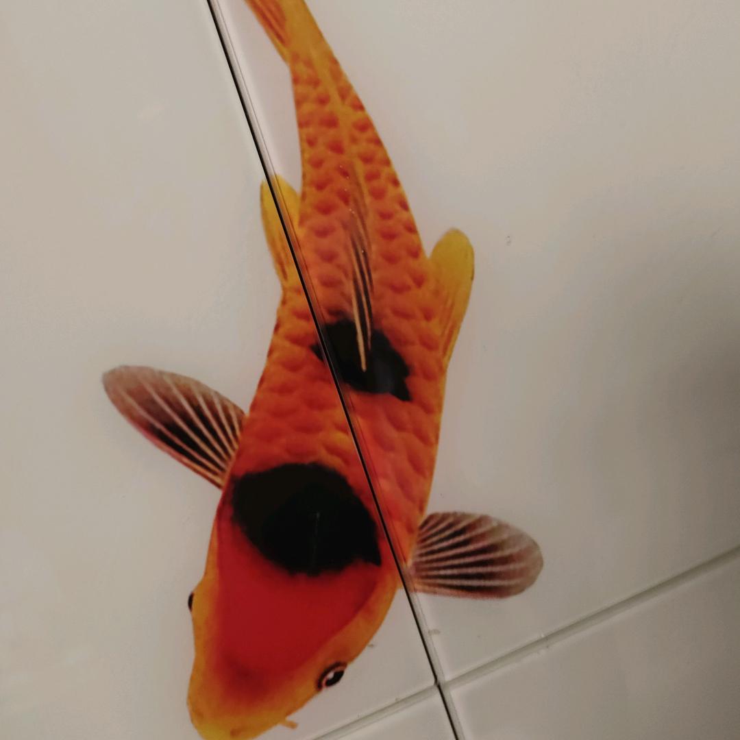 张文武