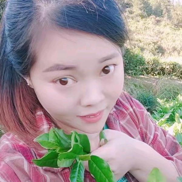 鸿运*茶叶