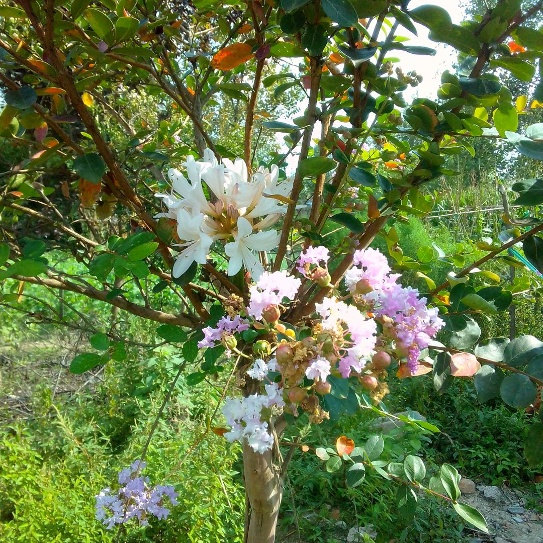 阿姨😊