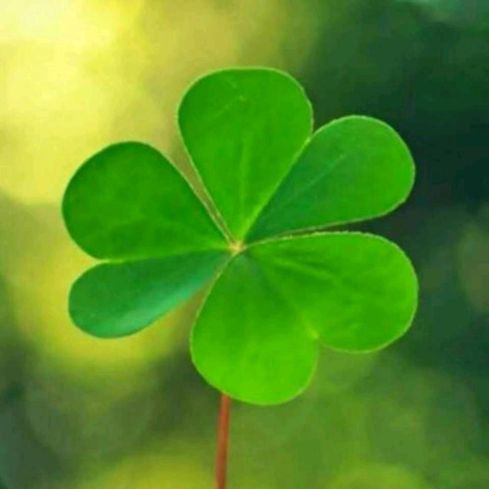 东商贸三辉内衣