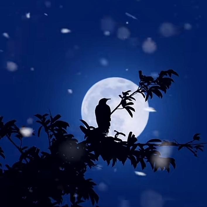 忠义千秋 -  夜莺