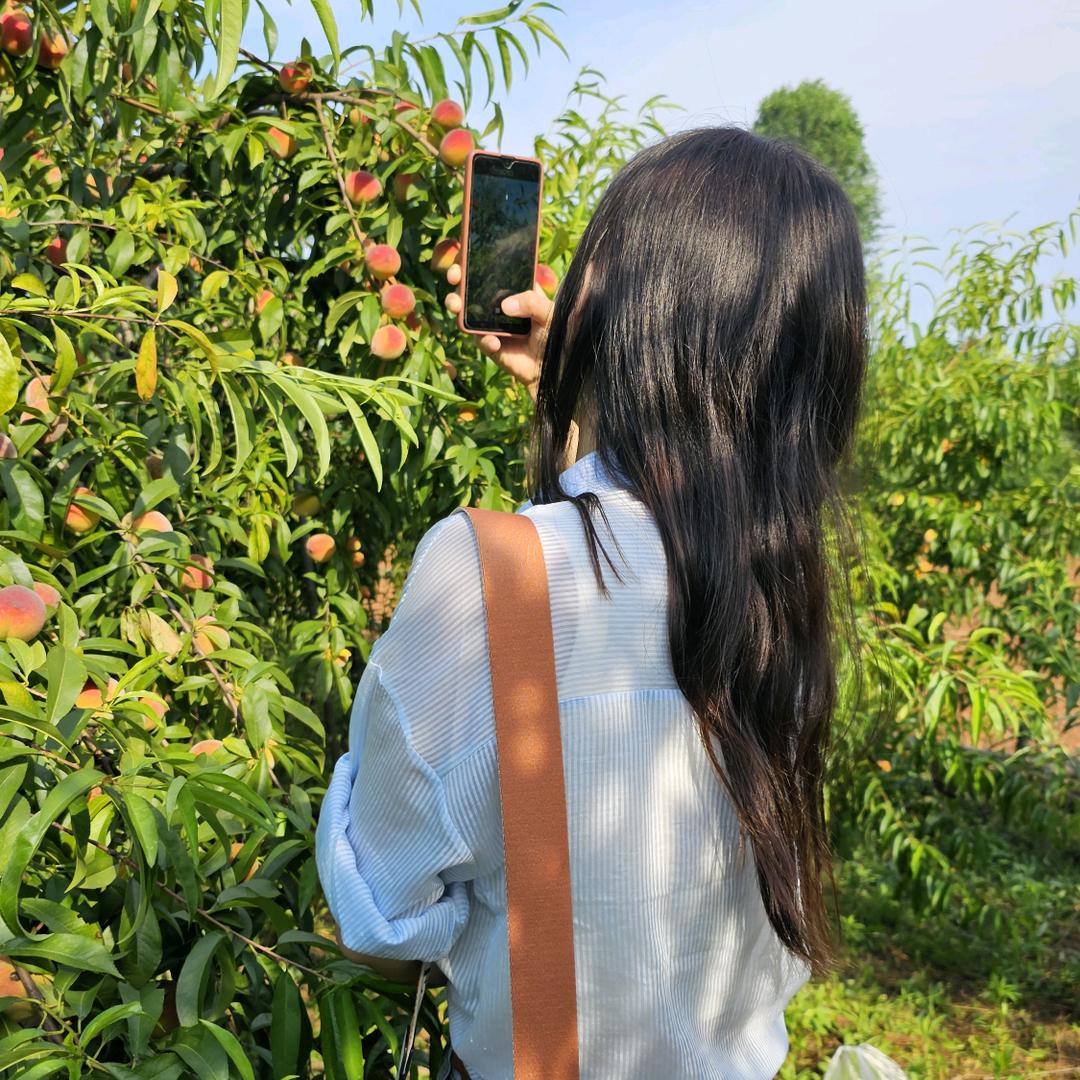 宋小宝🐻同学