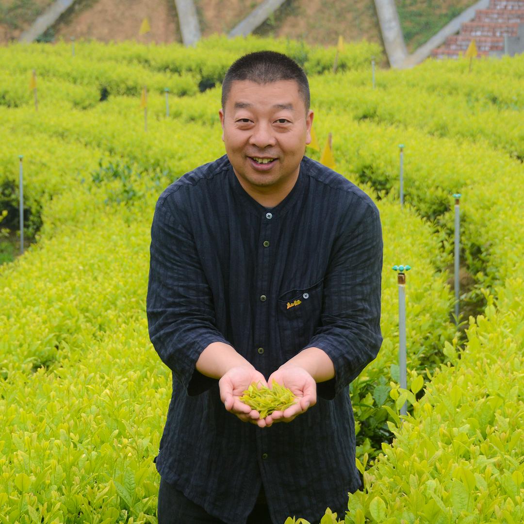 茶人波哥