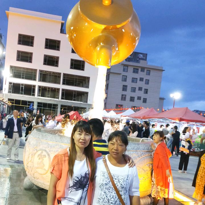 桦南