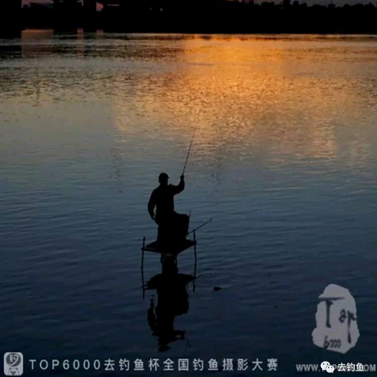 钓鱼🐟