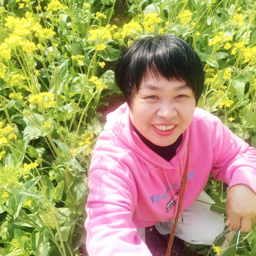 娄小娄