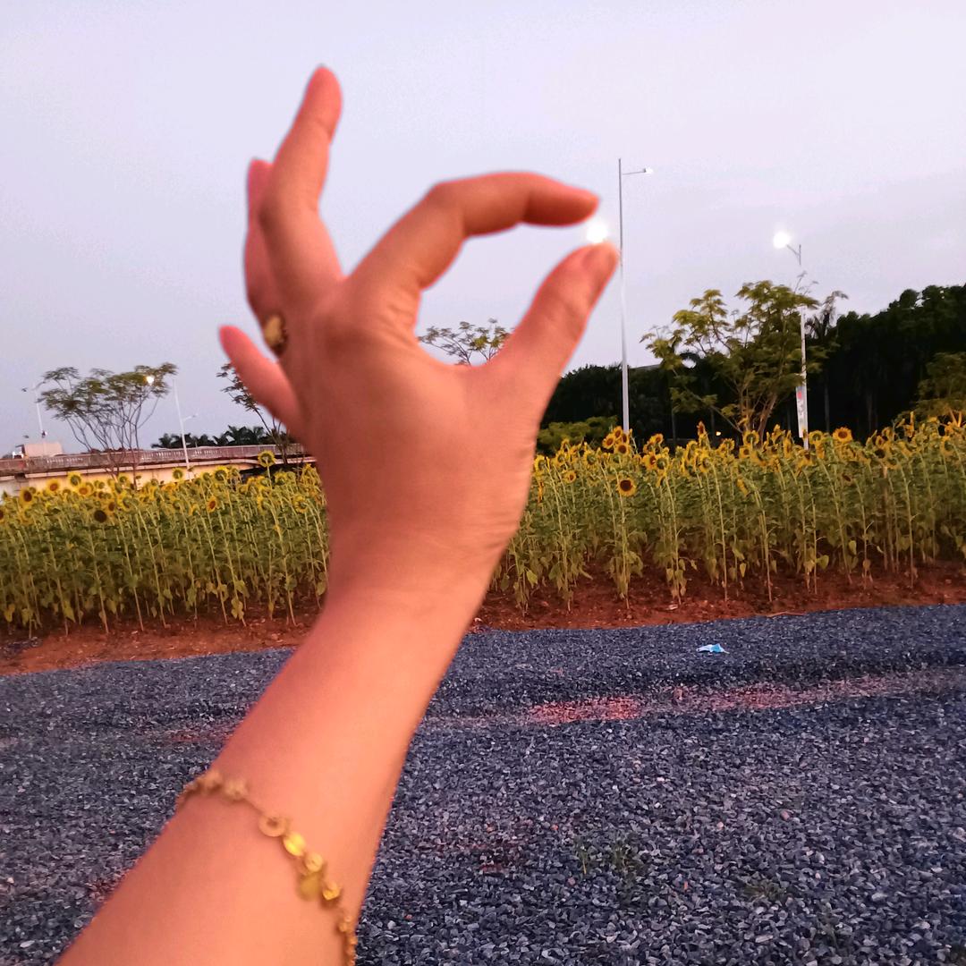 汐月爱吃肉