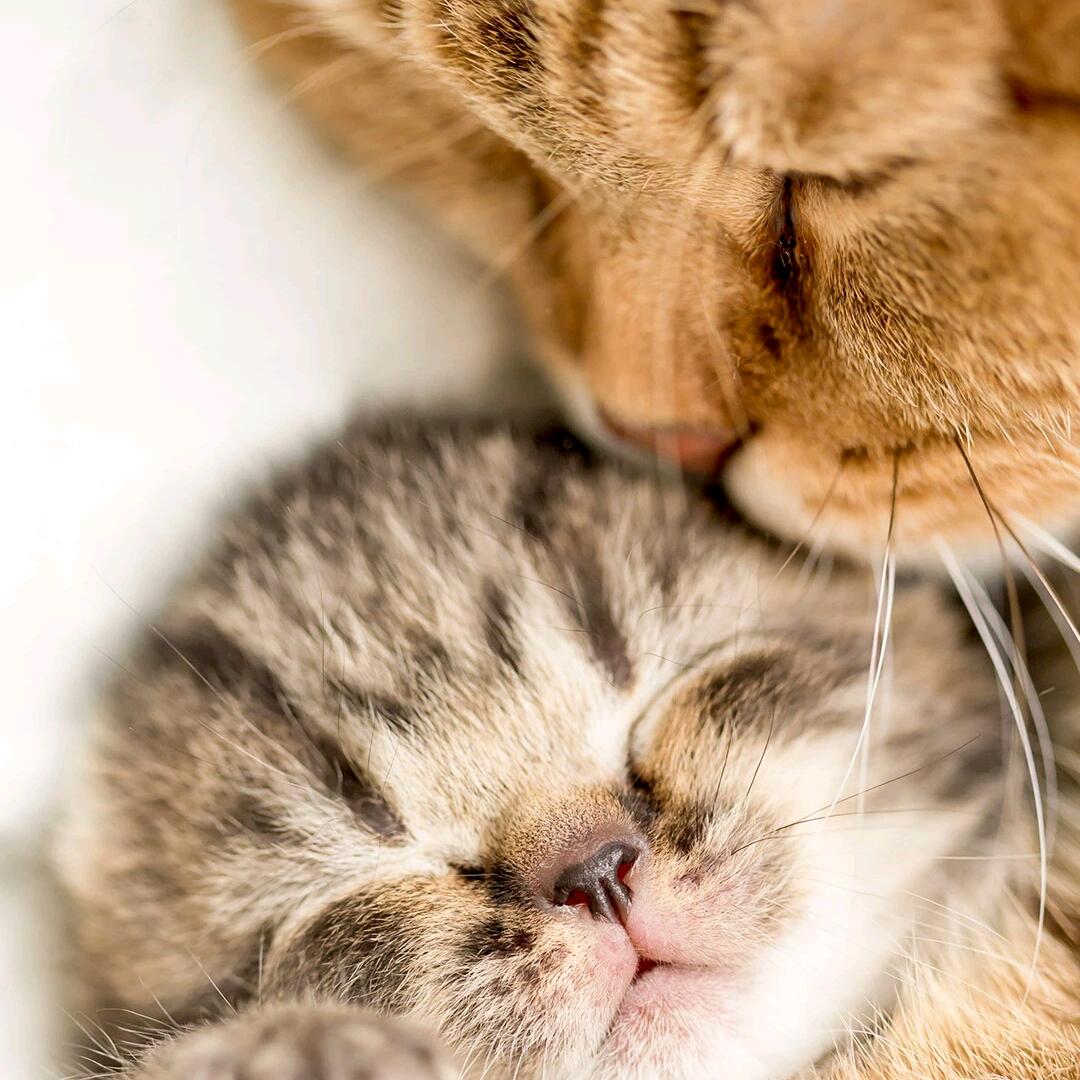 关于线路板的一切都有回收