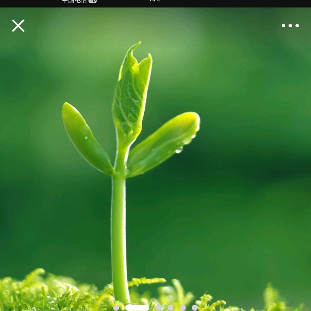 不信命运的白锦头像