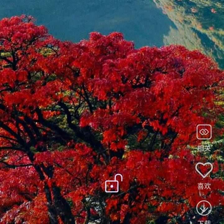 花好月圆