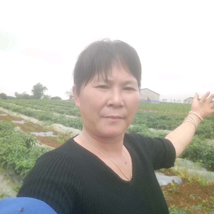 清莲如心
