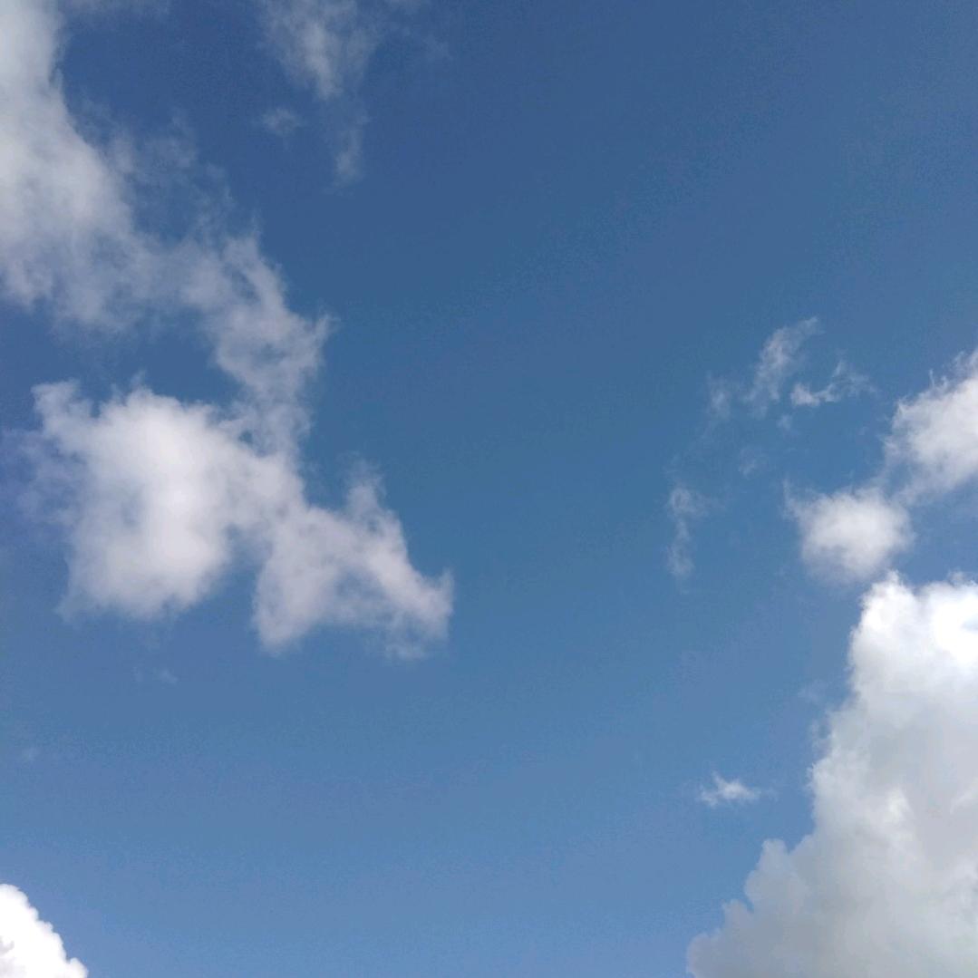 宇宙无敌暴龙骑士0008