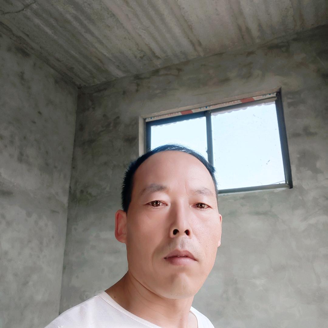 单身情歌