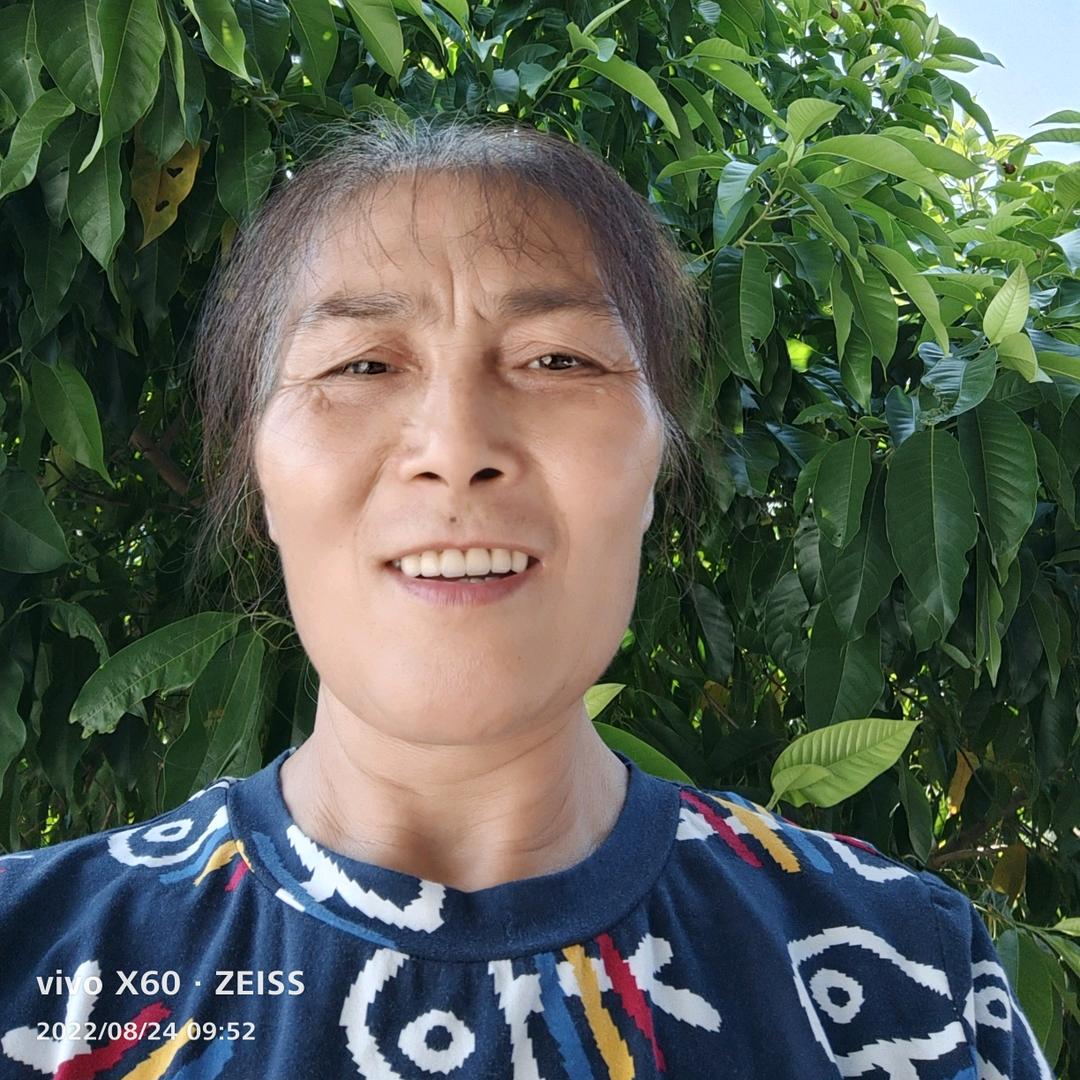 陶淘（568）中午十二点开直播