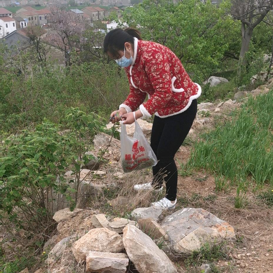 越来越好
