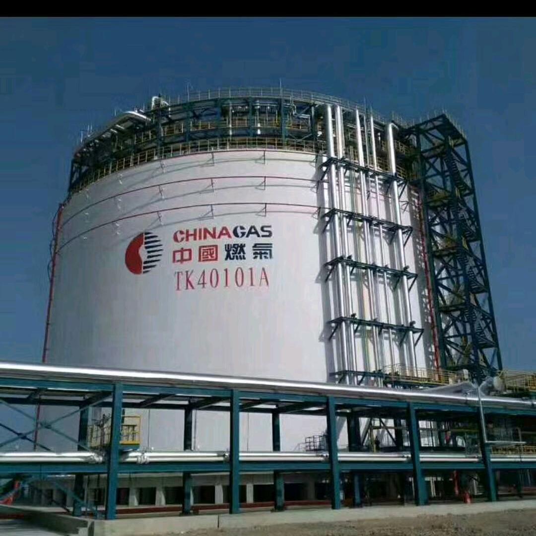 浪子无家🏠