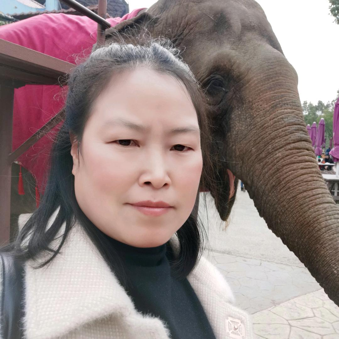 小草🌿🌿🌿🌿🌿🌿