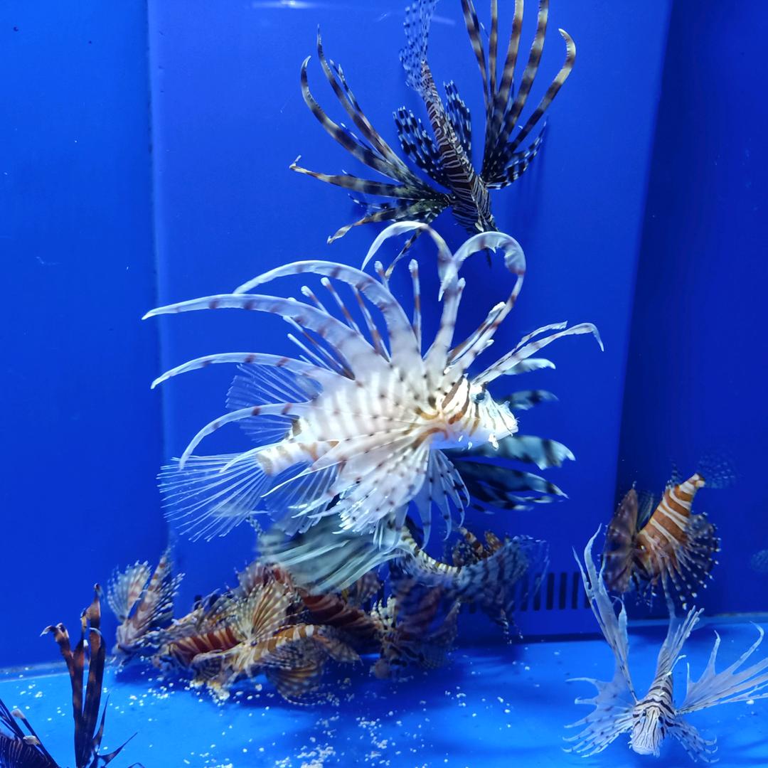 开心一笑，，，