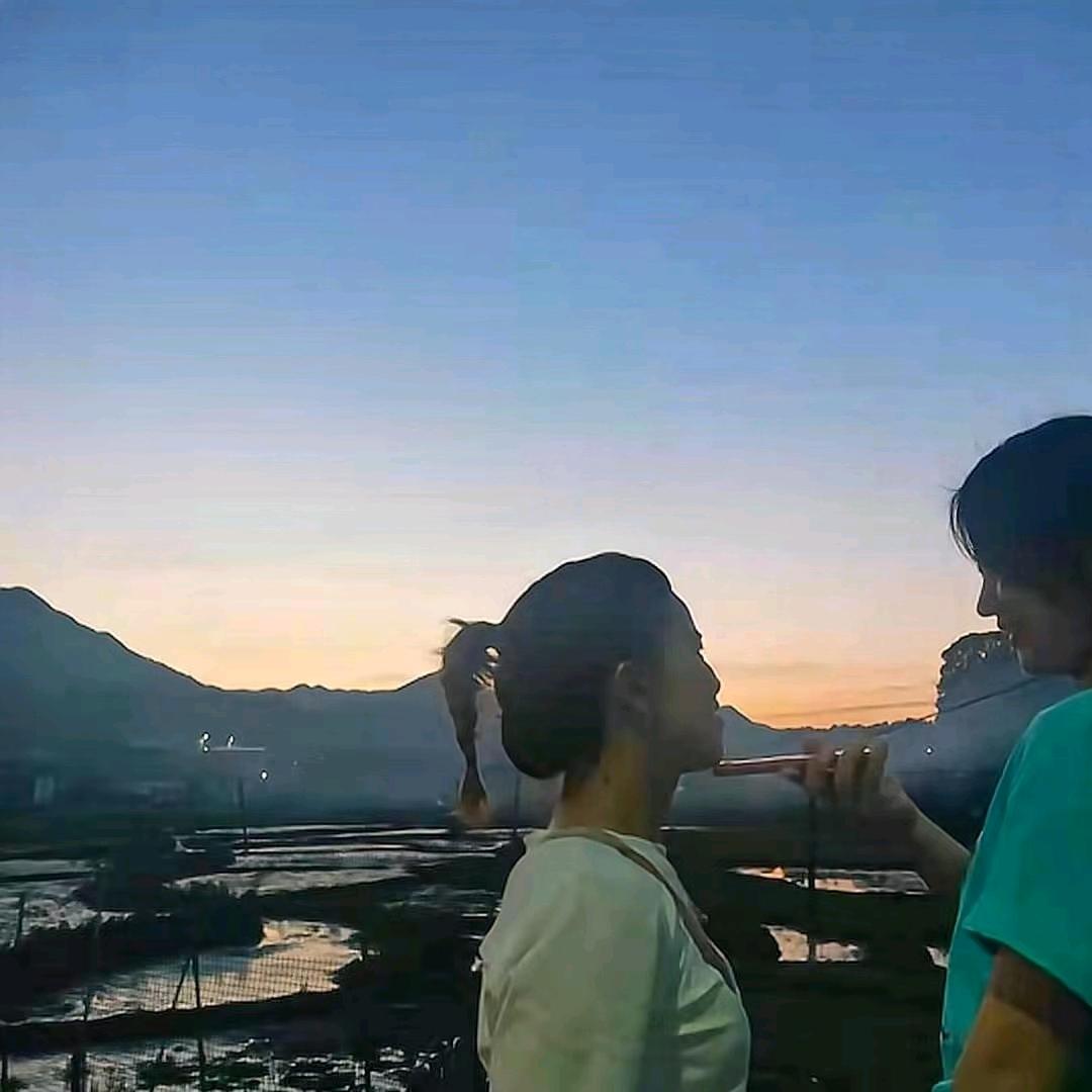 冯看短剧