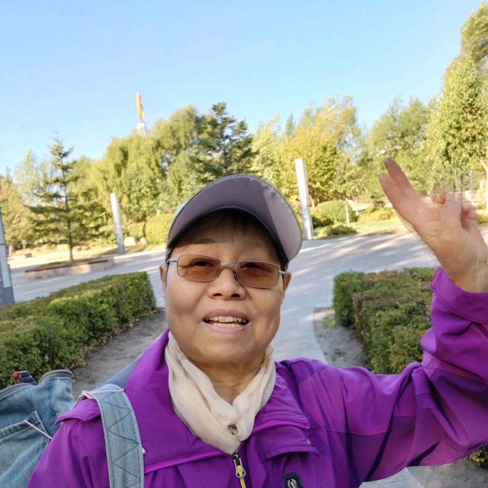 不老松