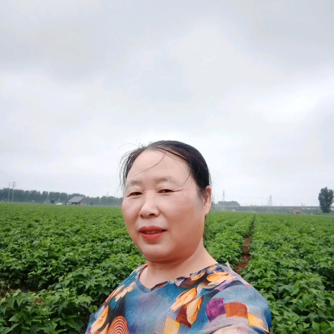 黄生工厂清货1