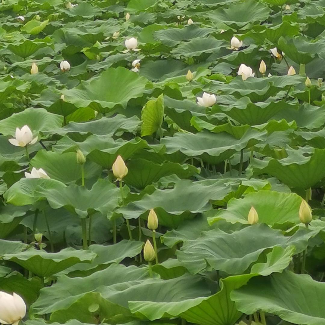 鑫宜佳保洁