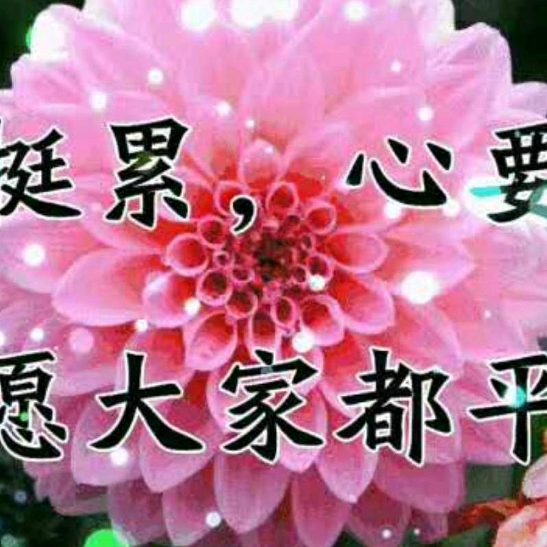 农村人