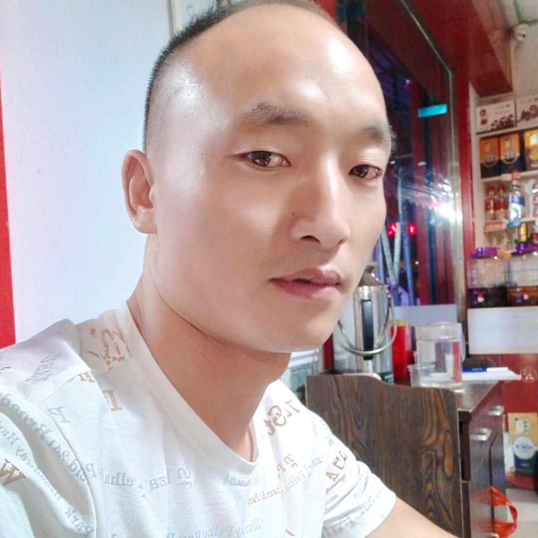 自由哥
