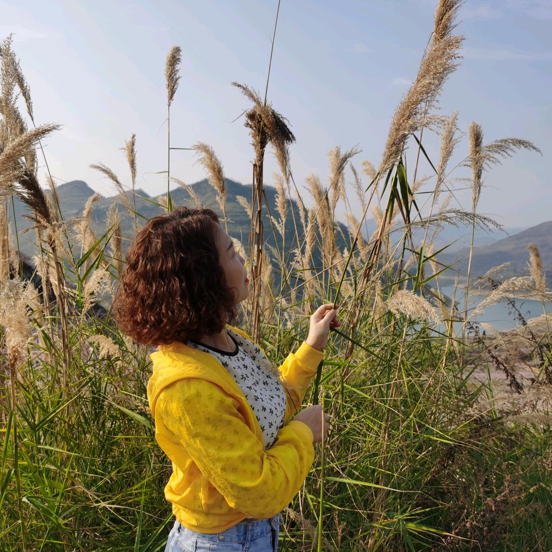 贵州普定鑫旺大市场金家辣椒杨家女儿