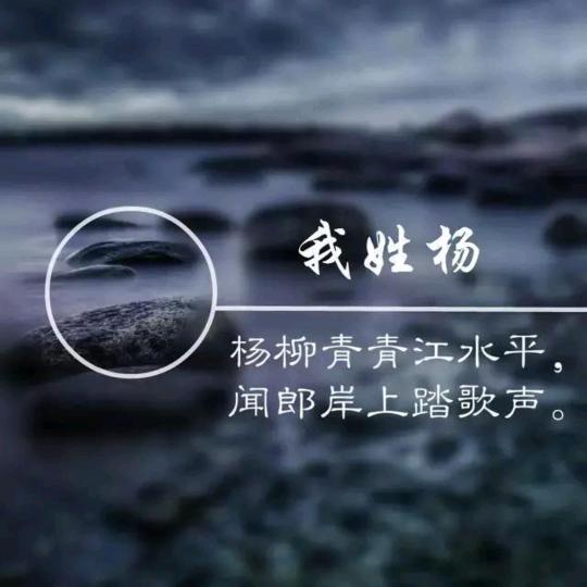 遵义贴砖-彬哥哥