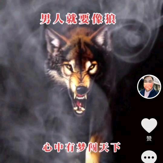 单身汉（奶爸）