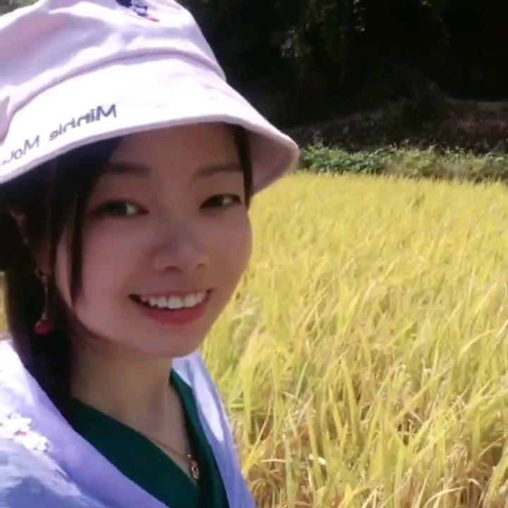 沉湘