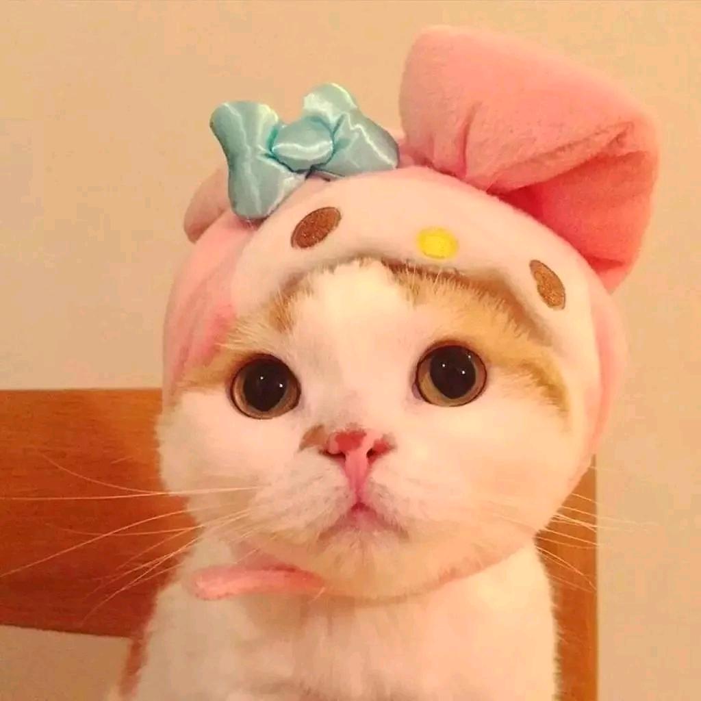 二货游戏