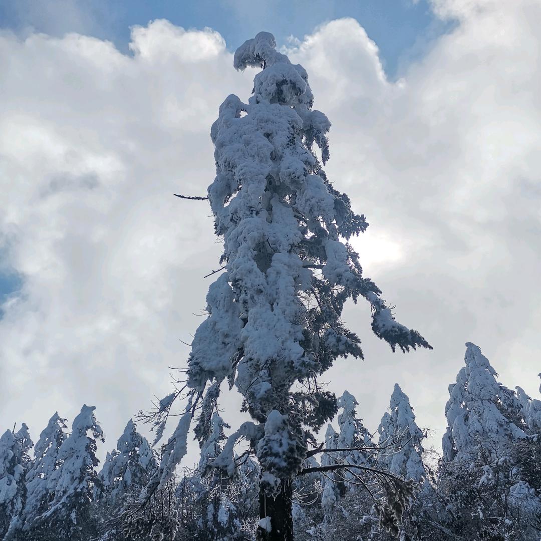 在地球度假的日子