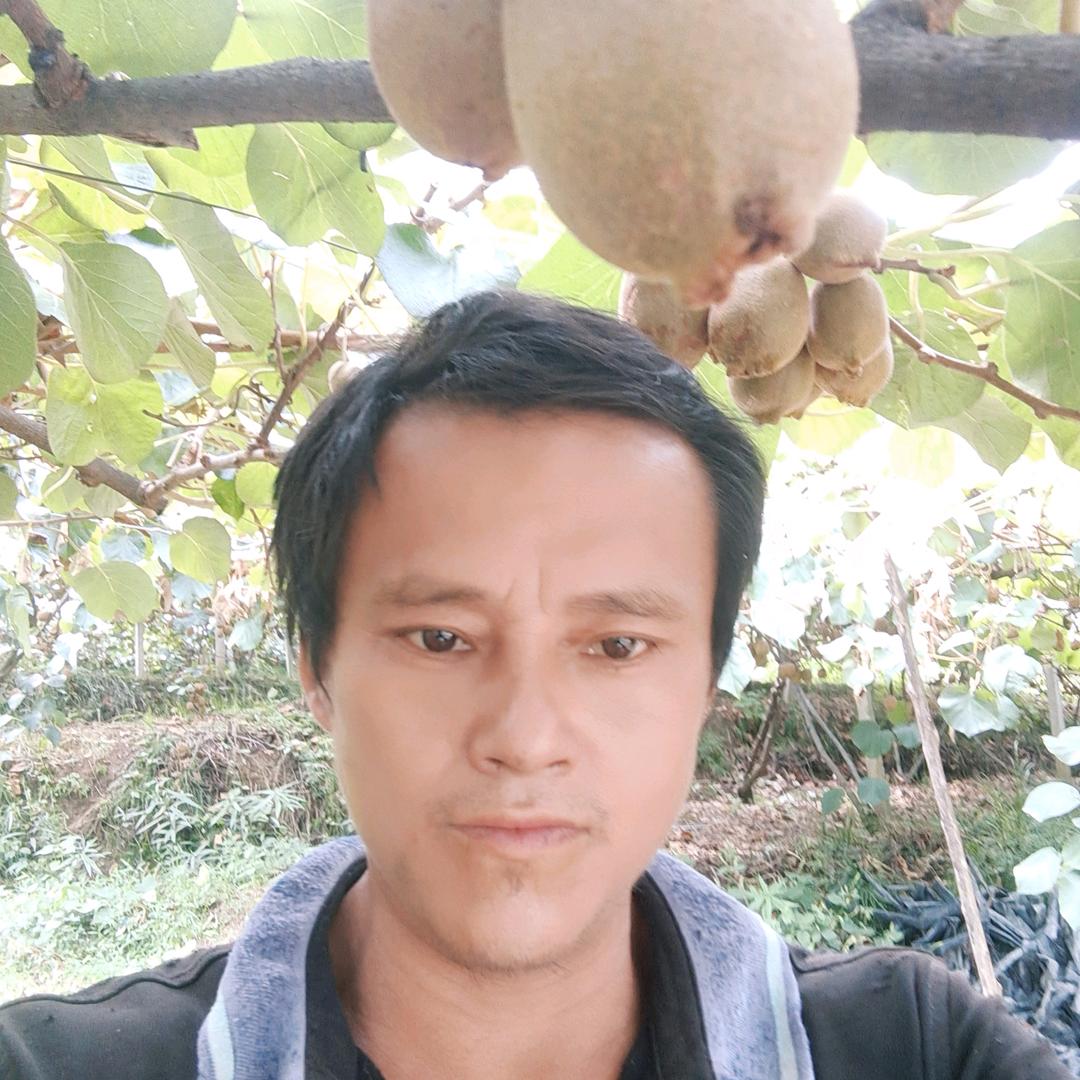 三农猕猴桃大叔