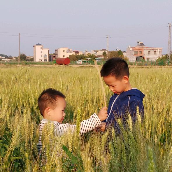 闪宝吖