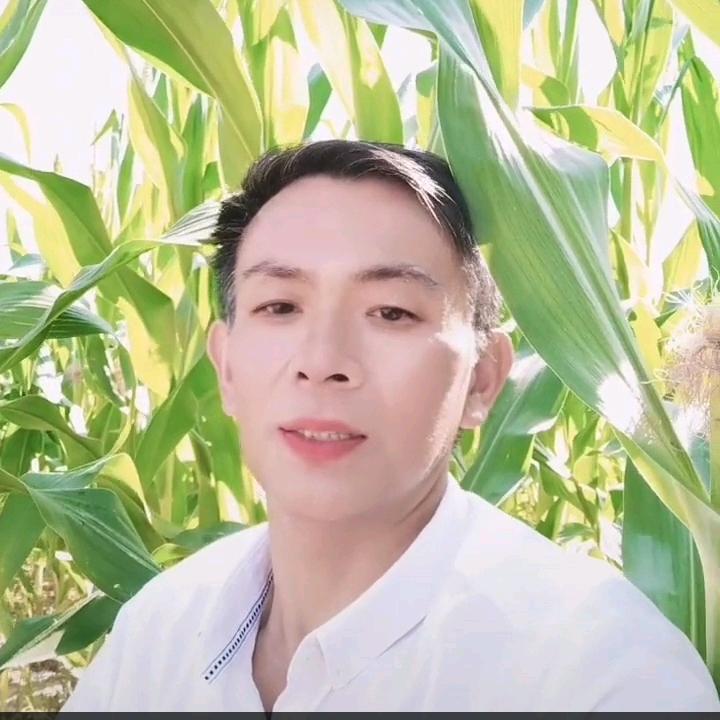 黄山风光🌴🌴