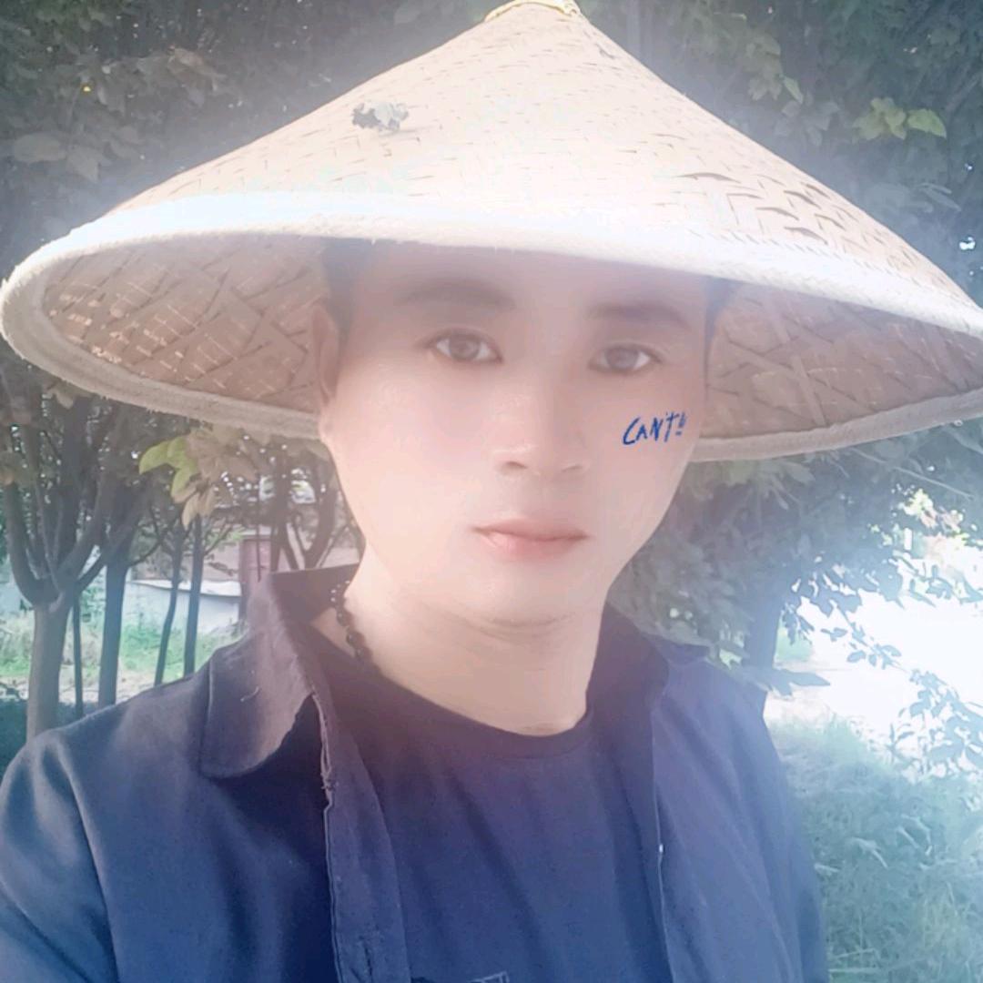 晨阳苗木，吊装，