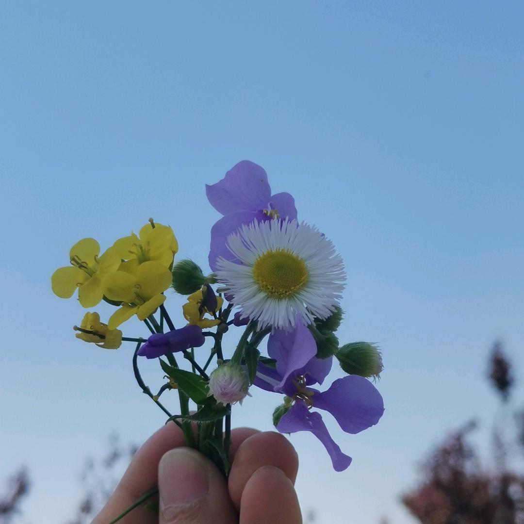 彩虹🌈