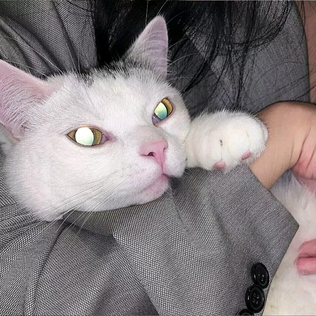 浮笙
