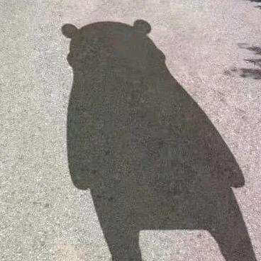 威武的炮筒