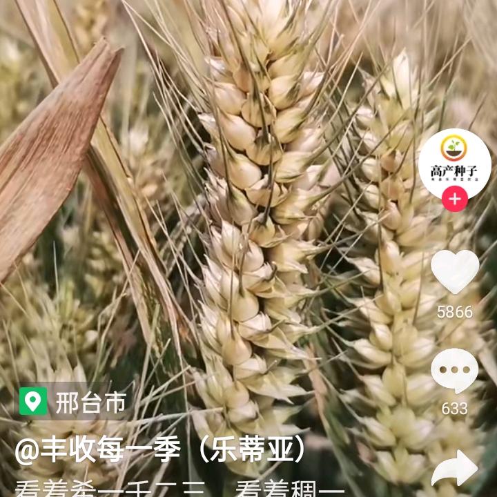 爱朋爱友