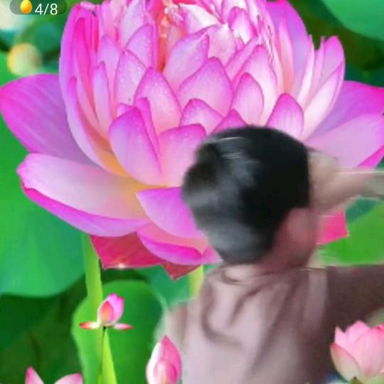 一往情深