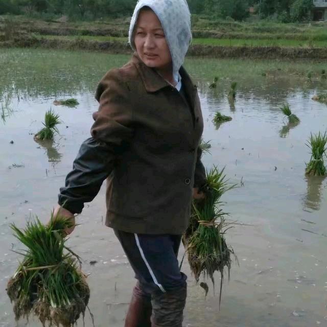 汤家老丫头