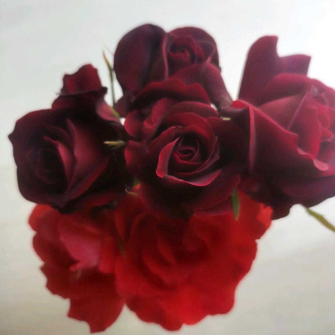 《无心的相遇》陈