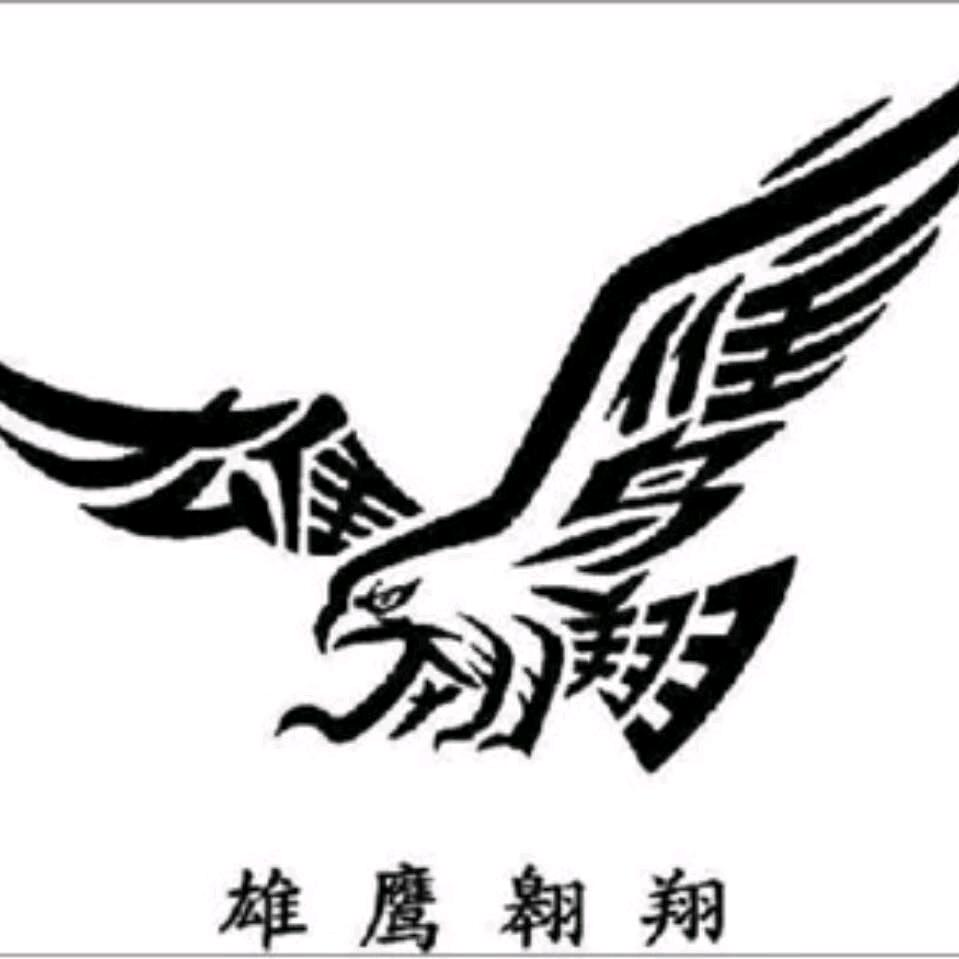 云中雄鹰头像