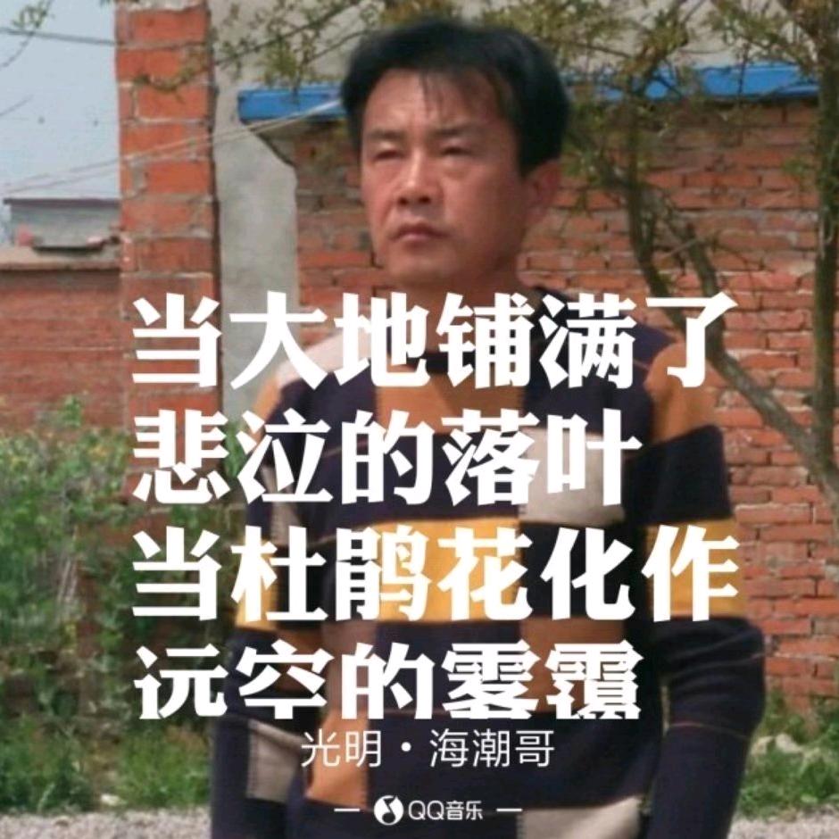 宋哥